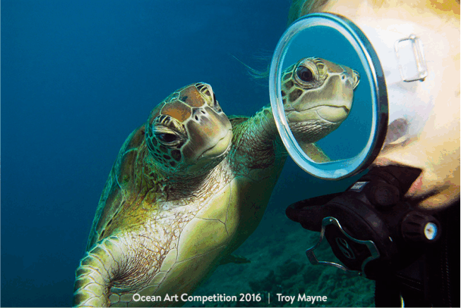 Foto: “Espelho Espelho” – Troy Mayne 3º lugar  - Categoria: Grande Angular   Local: Grande Barreira de Corais - Queensland, Austrália 