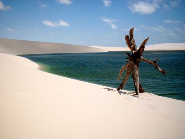 ilha dos poldros1