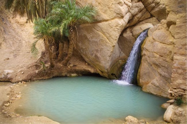 Chebika Oasis (Tunisia), tem piscinas claras, palmeiras, muito verde, cachoeiras e formações rochosas. Foi cenário dos filmes "Star Wars" Raiders of the Lost Ark" e o "Paciente Inglês. Foto: Dasha Petrenko/Shutterstock