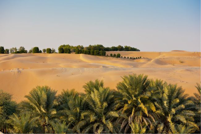 Liwa Oasis, fica em Abu Dhabi, Emirados Árabes Unidos e na Arábia Saudita.É o maior deserto de areia contínua do mundo. Liwa é a última parada antes de entrar neste deserto de areia sem fim. Foto: dvoevnore/Shutterstock