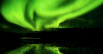 Mandou Bem – histórias inspiradoras horta boreal 1